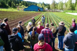 Cooking Experience 5