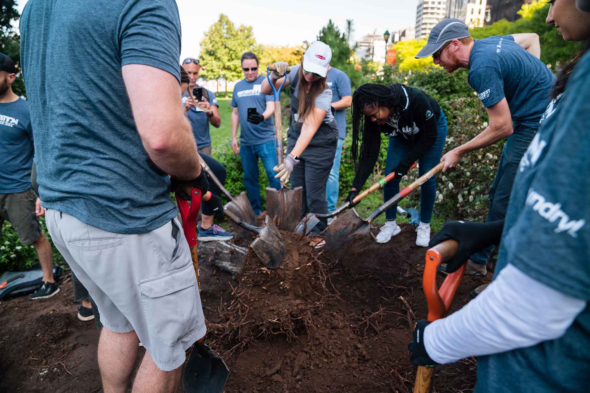 climate week reforestation2x 1679940187111